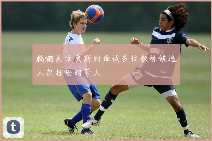 鹈鹕关注莫斯利面试多位教练候选人包括哈姆等人