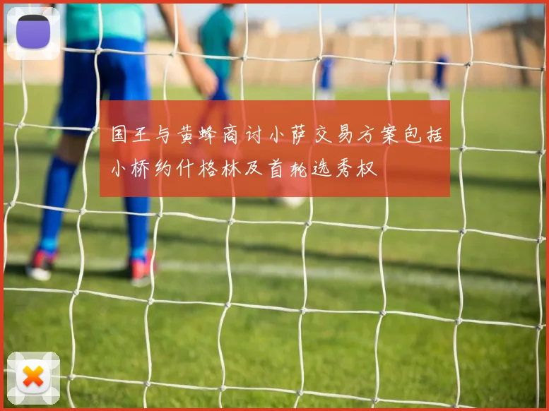 国王与黄蜂商讨小萨交易方案包括小桥约什格林及首轮选秀权